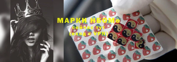 apvp Алзамай