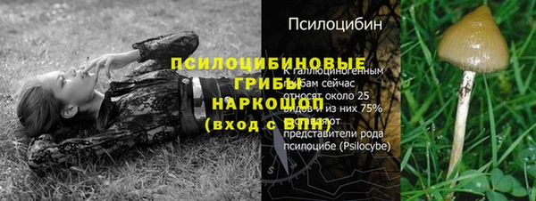 apvp Алзамай