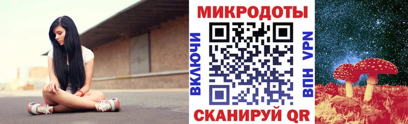 закладки  Березники  Псилоцибиновые грибы мухоморы 