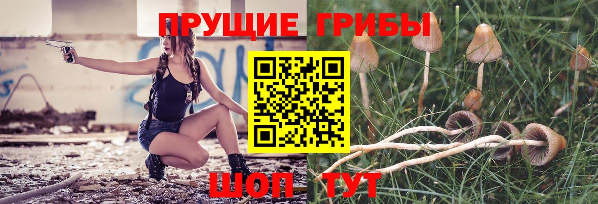 Галлюциногенные грибы мицелий Березники