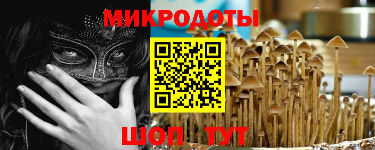 Псилоцибиновые грибы мицелий  Вход с VPN  Березники  Галлюциногенные грибы Cubensis 